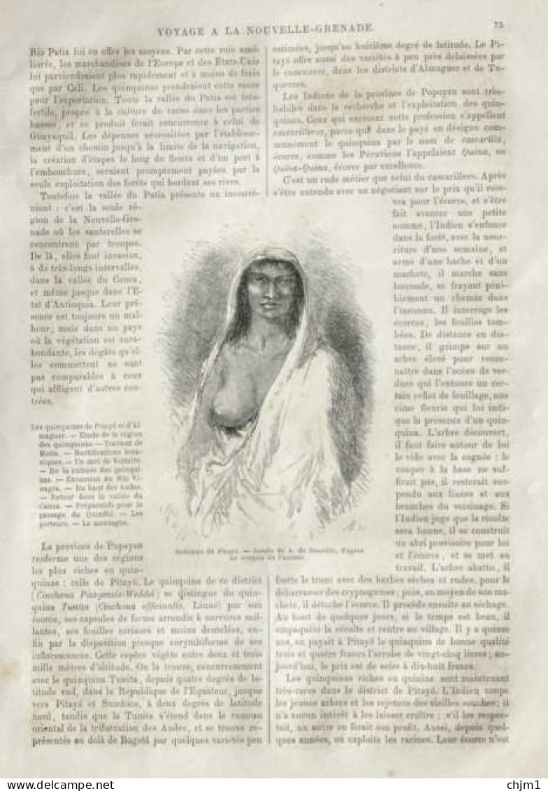 Indienne De Pitayo - Page Originale 1875 - Documents Historiques