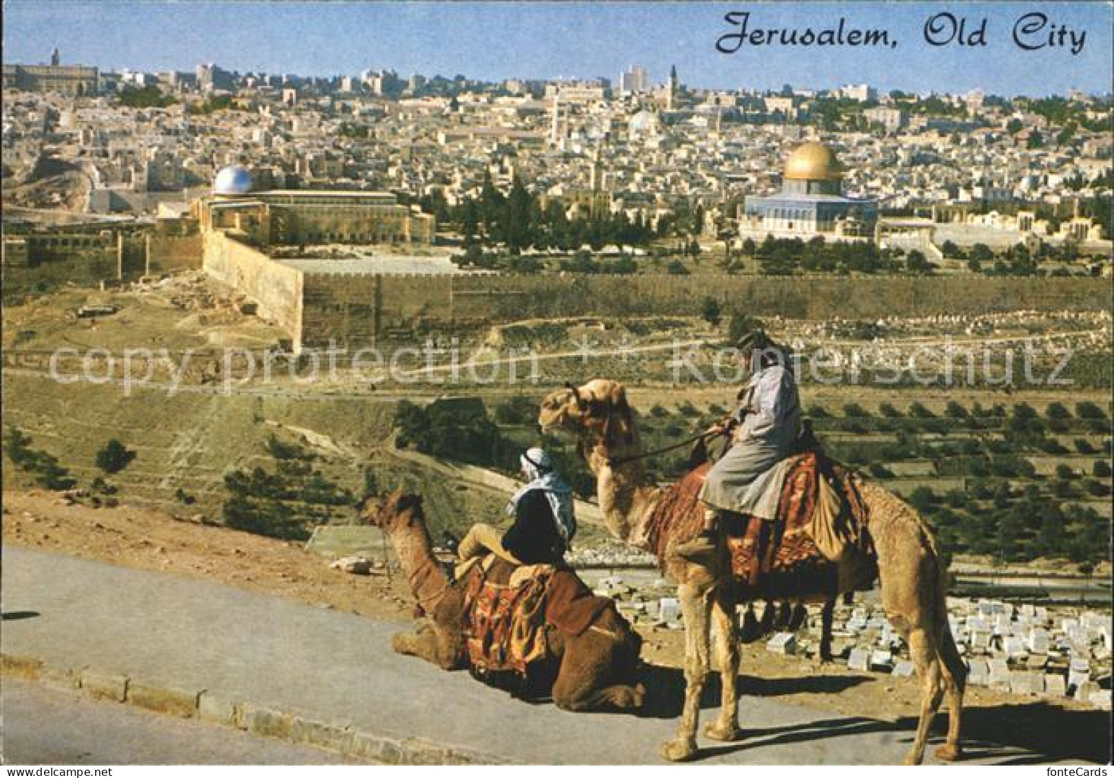 72350663 Jerusalem Yerushalayim Old City Kamelreiter  - Israël