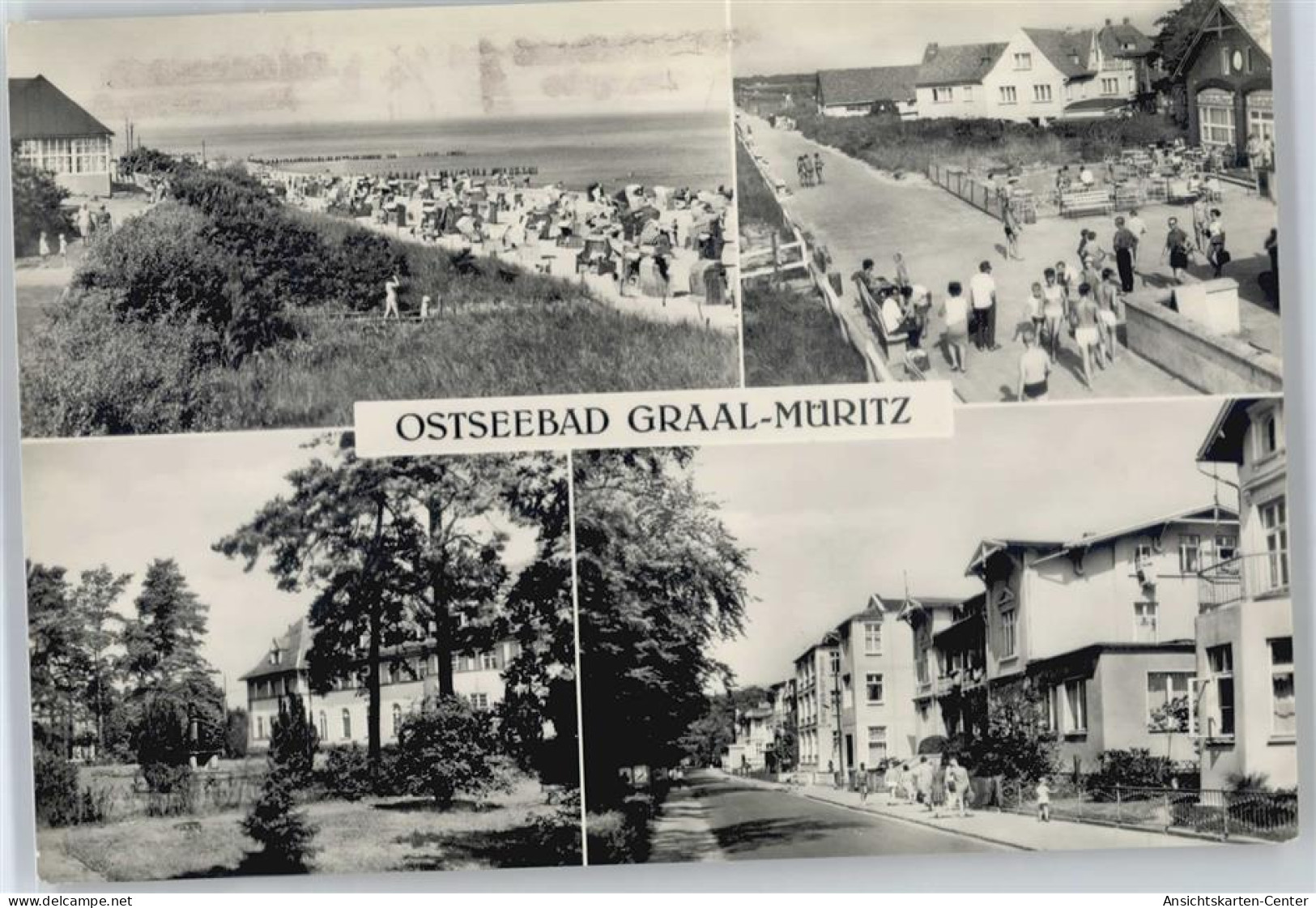 50730705 - Graal-Mueritz , Seeheilbad - Graal-Müritz