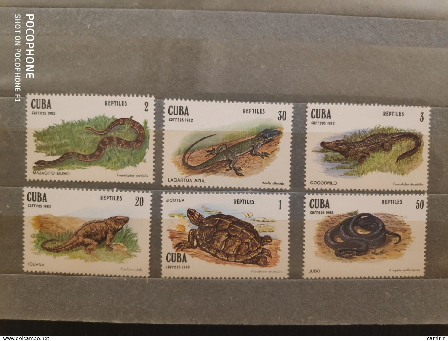 1982	Cuba	Animals  Snakes Turtles   (F90) - Nuevos