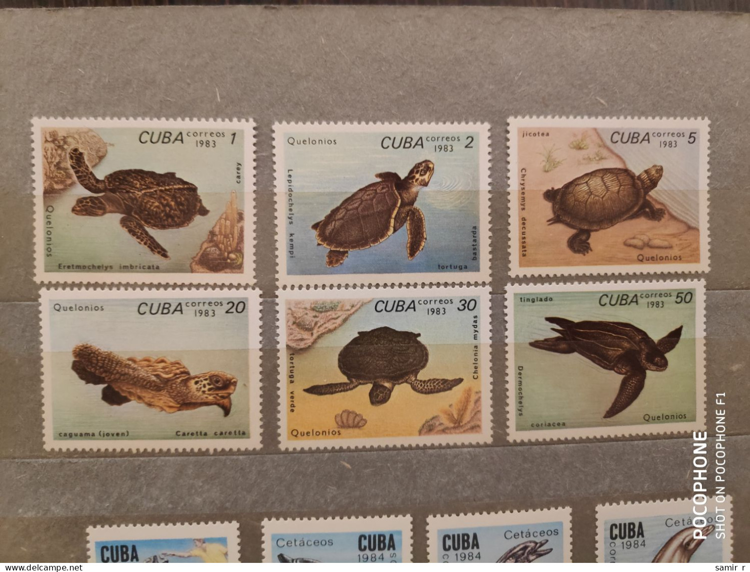 1983	Cuba	Turtles   (F90) - Nuevos