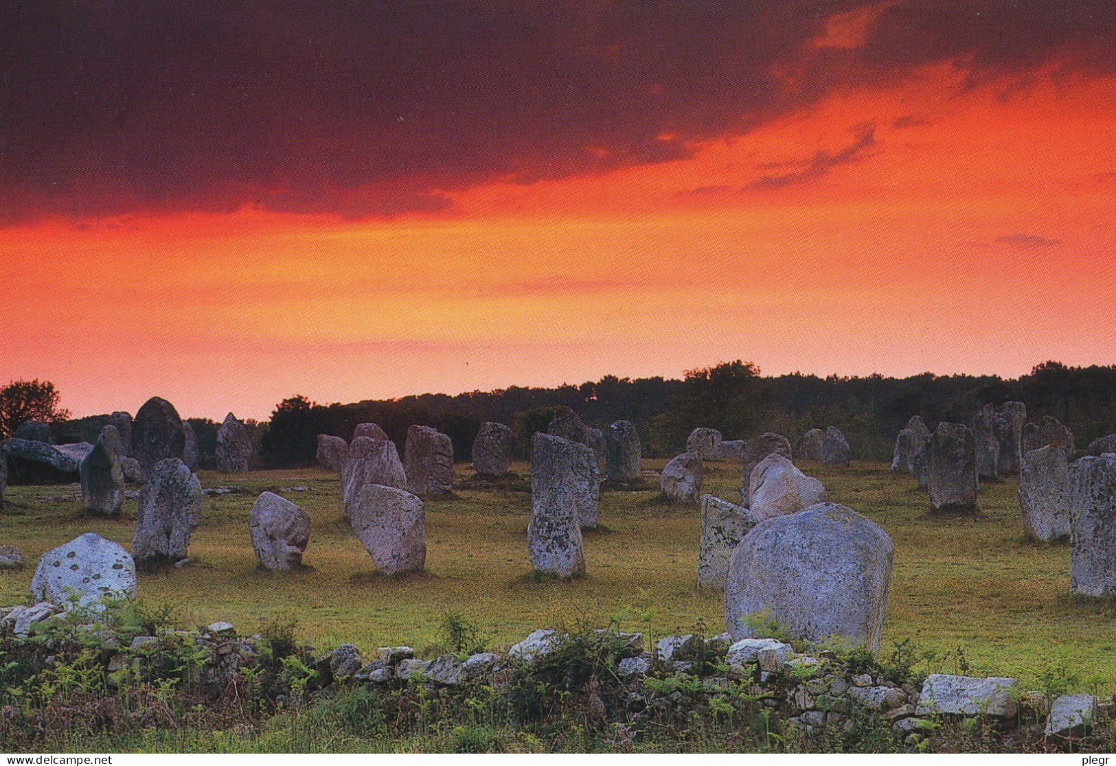 0-56034 02 02 - BRETAGNE - MENHIRS - Bretagne