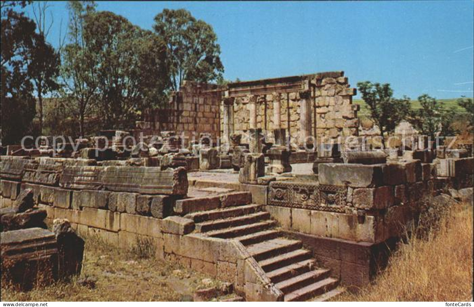 72346488 Israel Capernaum Ruine Synagoge Israel - Israel