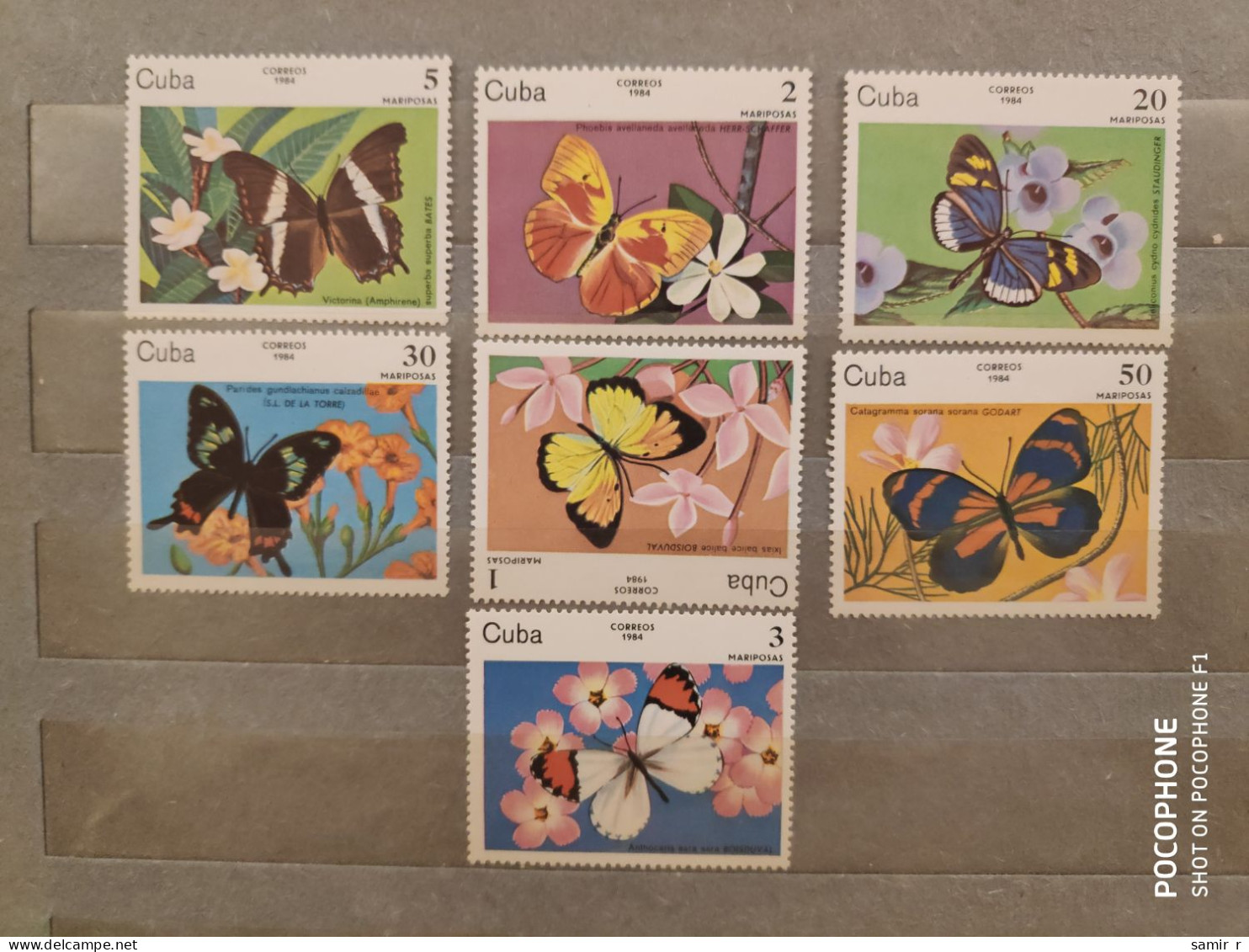 1984	Cuba	Butterflies  (F90) - Nuovi