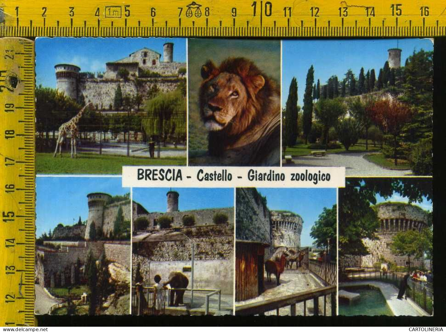 Brescia Città Castello - Giardino Zoologico  - Brescia