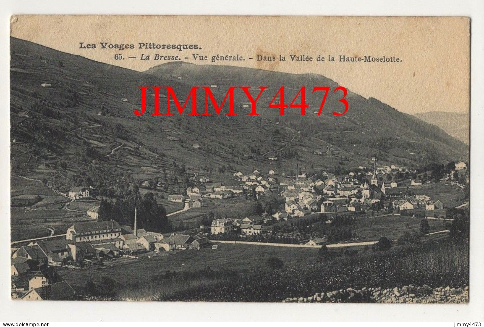 CPA - LA BRESSE En 1905 - Vue Générale Dans La Vallée De La Haute-Moselotte ( Arr. De Epinal Vosges ) N° 65 - Autres & Non Classés