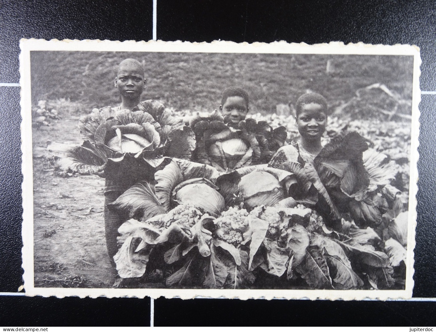 Mission Des Filles De Marie De Pesches Mangembo Les Choux Du Jardin Des Soeurs Missionnaires - Belgian Congo