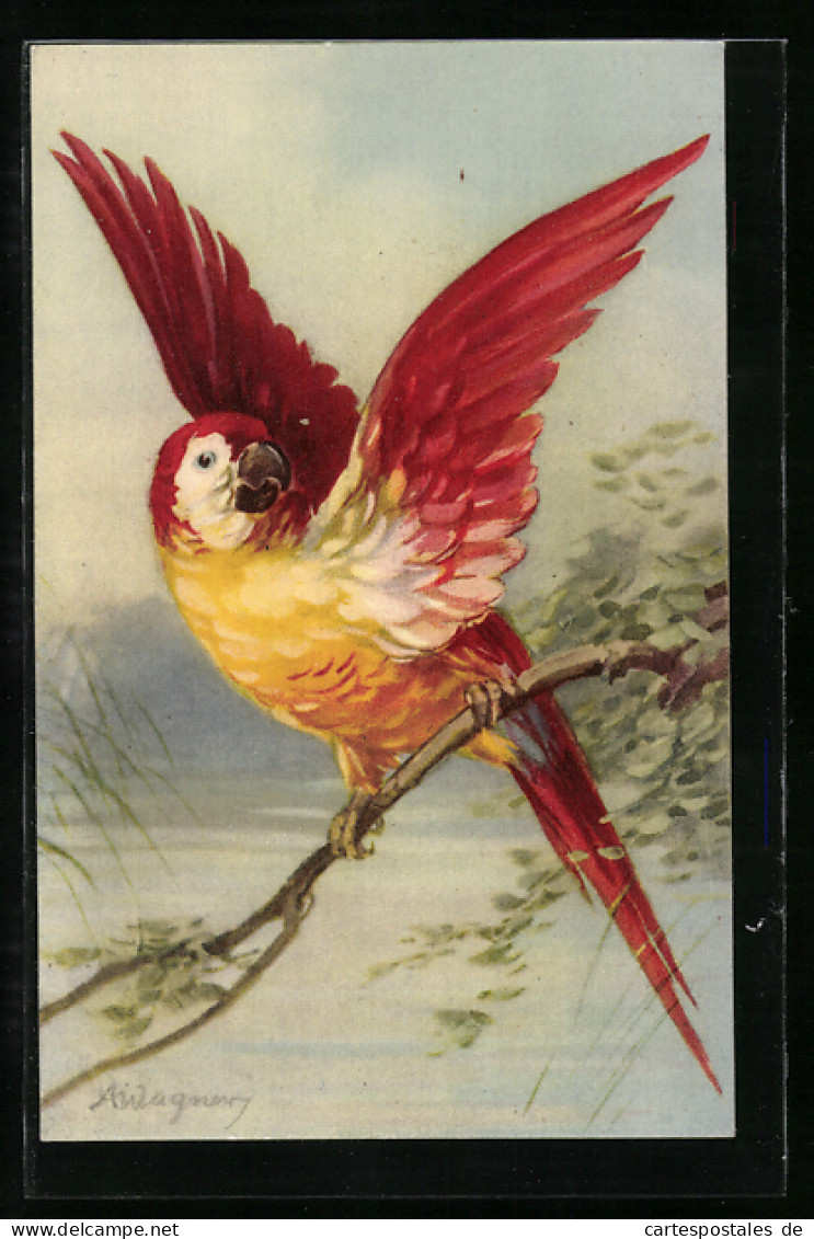 Künstler-AK A. Wagner: Bunter Papagei, Exotischer Vogel Mit Gelb-rotem Gefieder  - Oiseaux