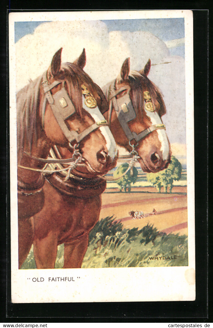 AK Old Faithful, Zwei Ackerpferde  - Horses