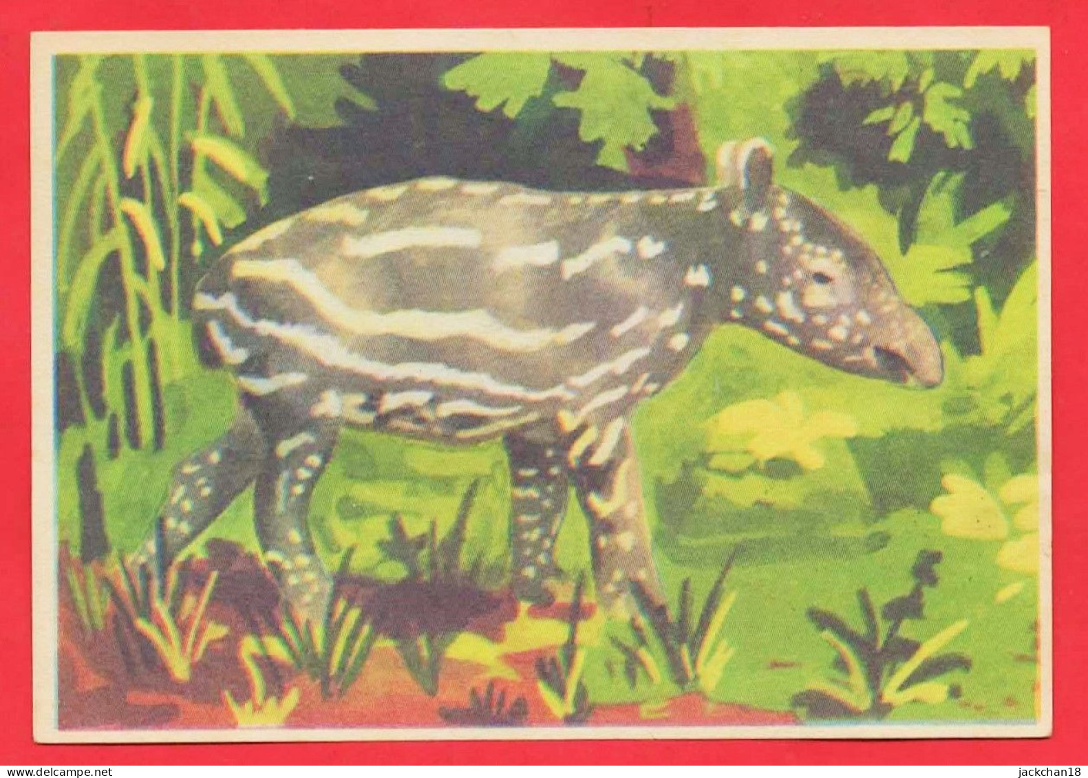 -- BISCOTTES HIRONDELLE / IMAGE N° 11  TAPIR  -- - Other & Unclassified