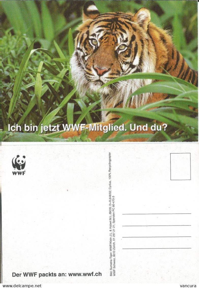 Switzerland Zurich WWF Sumatra Tiger - Tigri