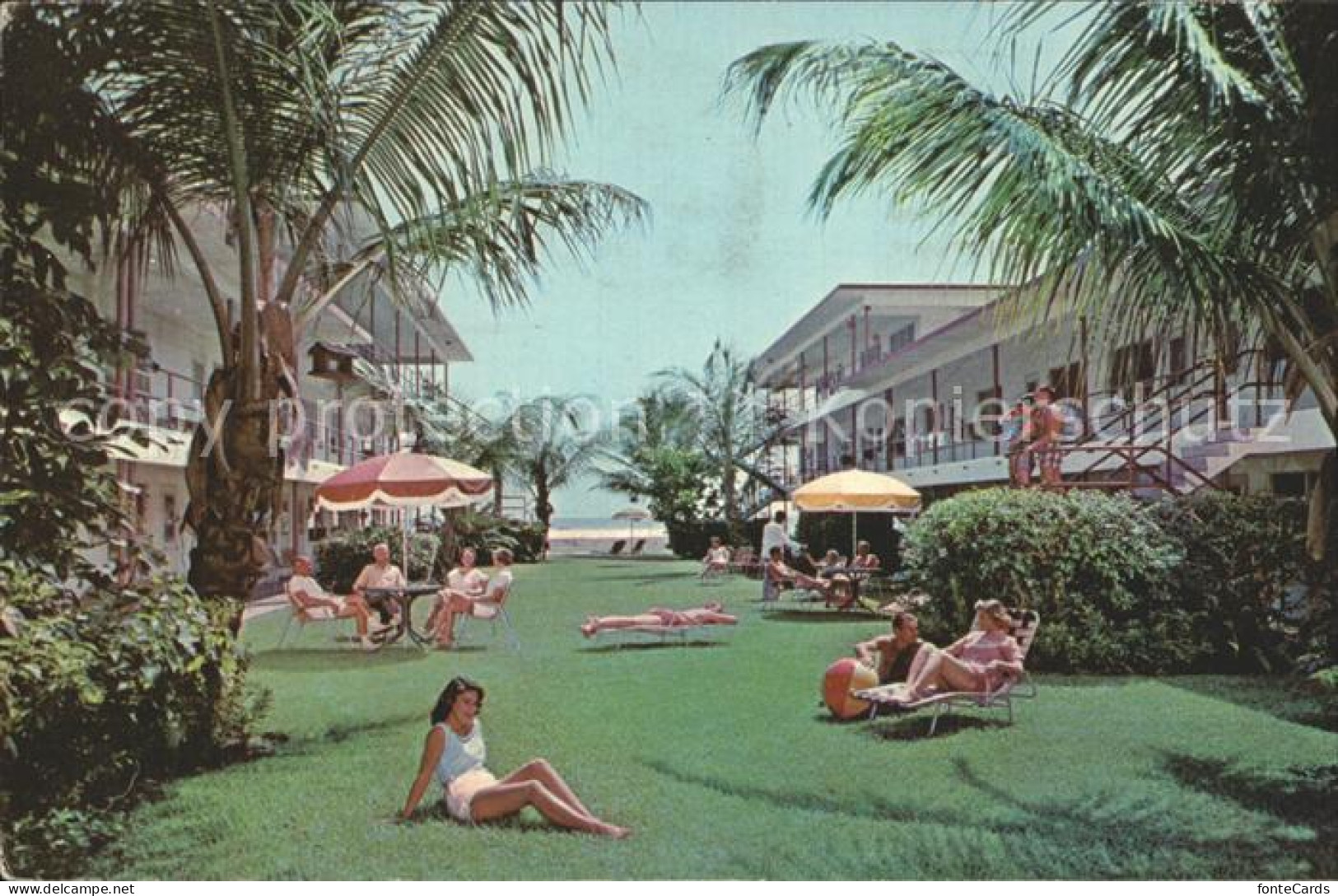 72316454 St_Petersburg_Florida Tropic Terrace Apt. Motel - Autres & Non Classés