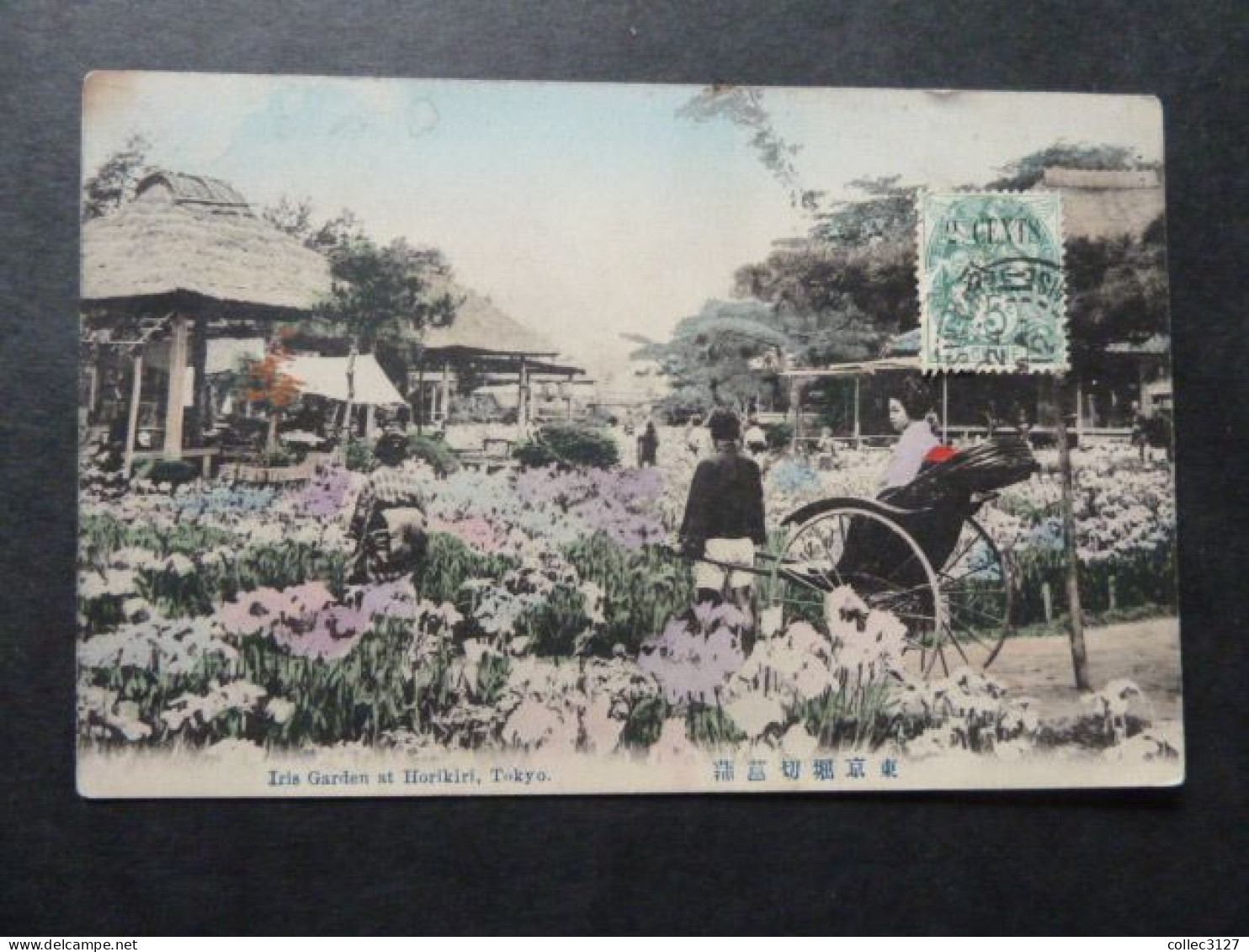 T2 - Japon - Iris Garden At Horikiri, Tokyo - Envoyée De Tientsin Chine En 1912 - Tokio