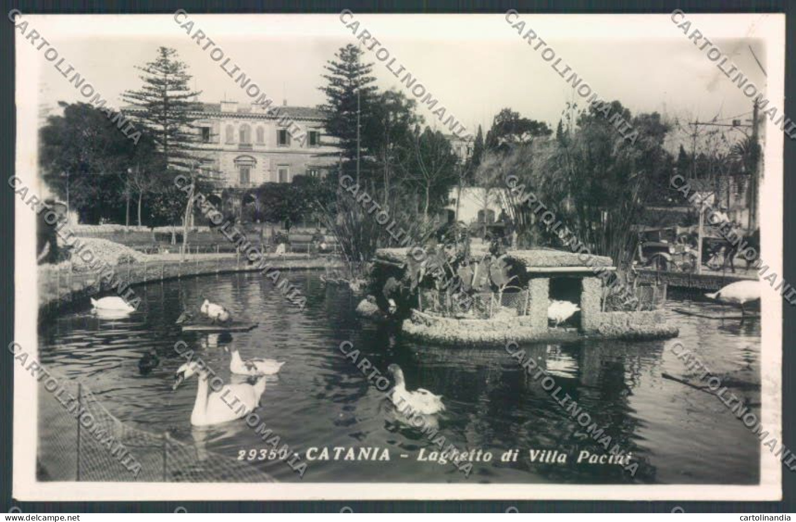 Catania Città Villa Pacini Foto Cartolina ZB9059 - Catania