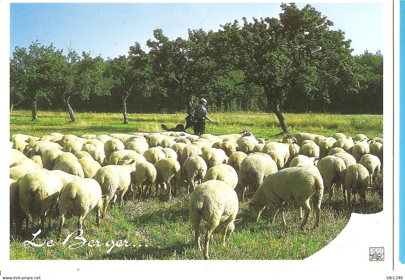 Métiers > Le Berger  CPM - Landbouwers