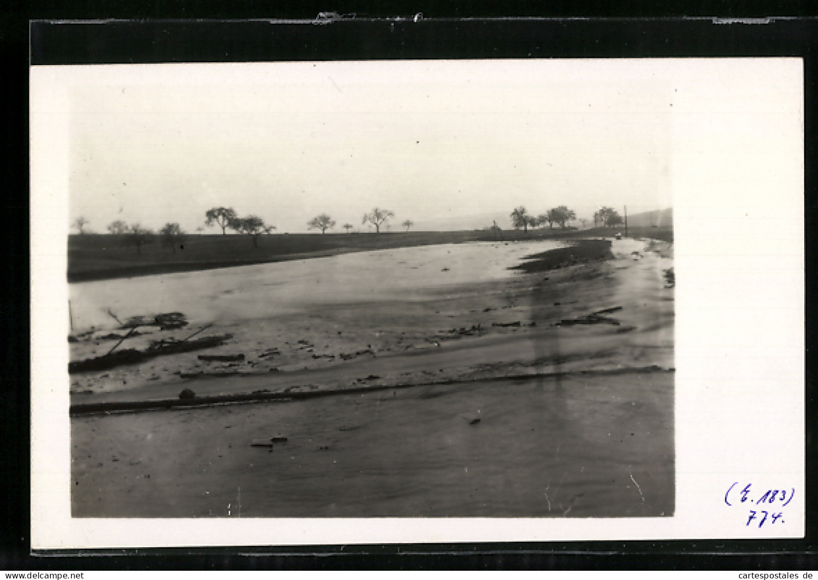 Foto-AK Steckenroth, Hochwasser Am Breithardter Weg 1928  - Überschwemmungen