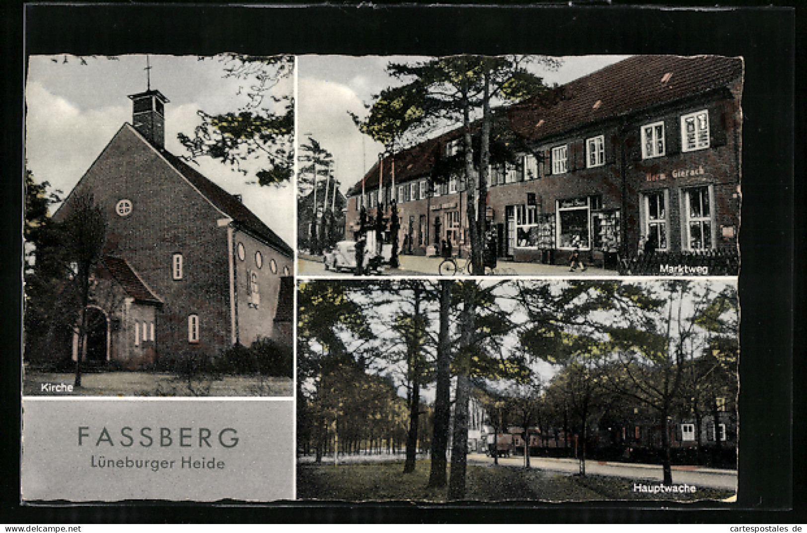 AK Fassberg /Lüneburger Heide, Hauptwache, Marktweg Mit Geschäft Gierach, VW-Käfer  - Lüneburg