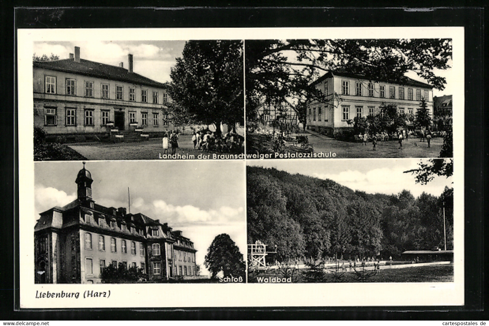 AK Liebenburg /Harz, Schloss, Landheim Der Braunschweiger Pestalozzi-Schule  - Braunschweig