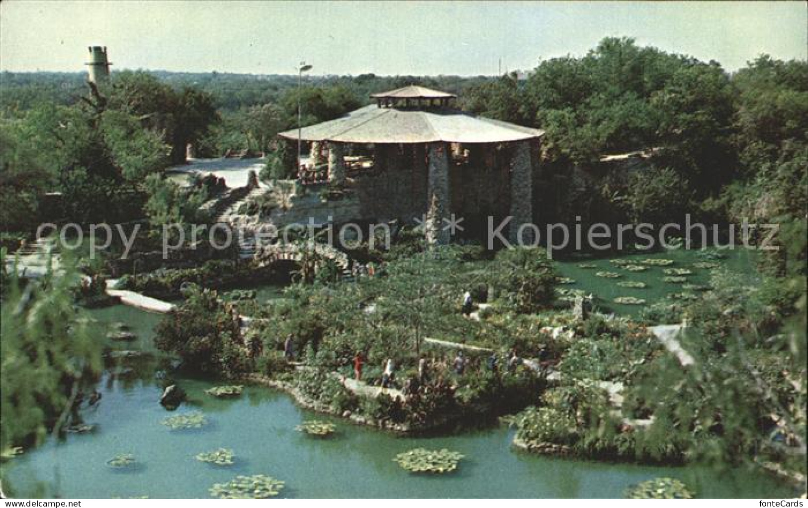 72310345 San_Antonio_Texas Chinese Tea Garden  - Other & Unclassified