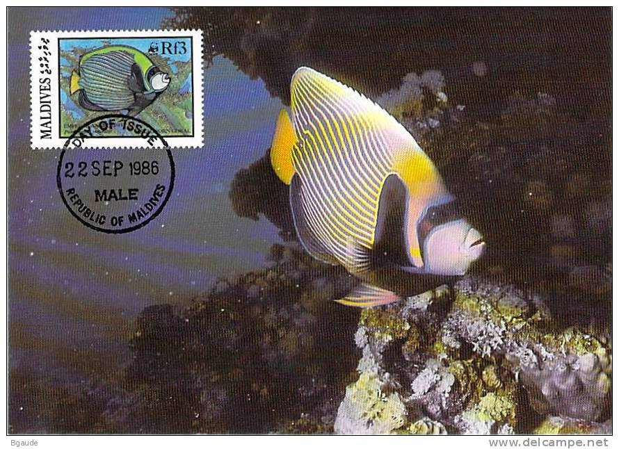 MALDIVE  WWF CARTE MAXIMUM NUM.YVERT  1080   PROTECTION DE LA NATURE  POISSON FAUNE MARINE - Cartoline Maximum