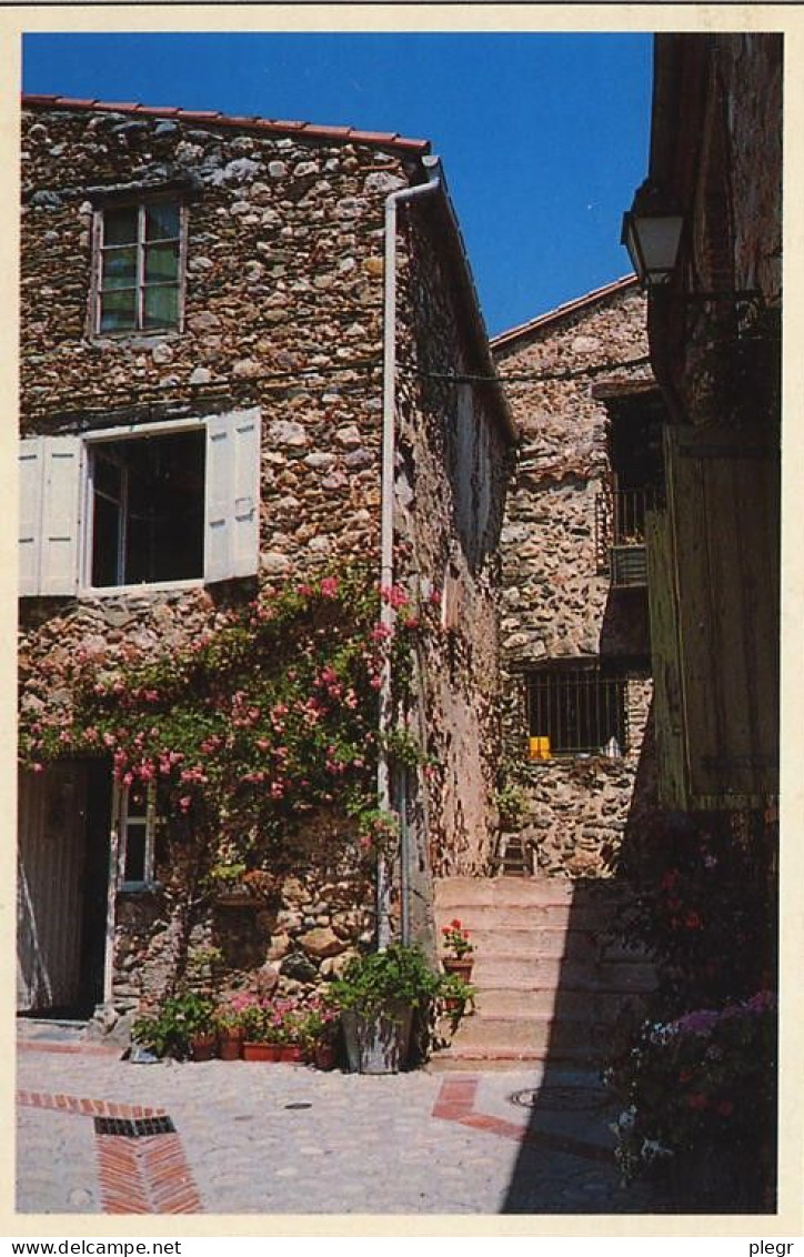 66233 02 01#1 - VIVES PRES DE CERET - RUELLE D'UN PETIT VILLAGE TYPIQUE CATALAN - Ceret