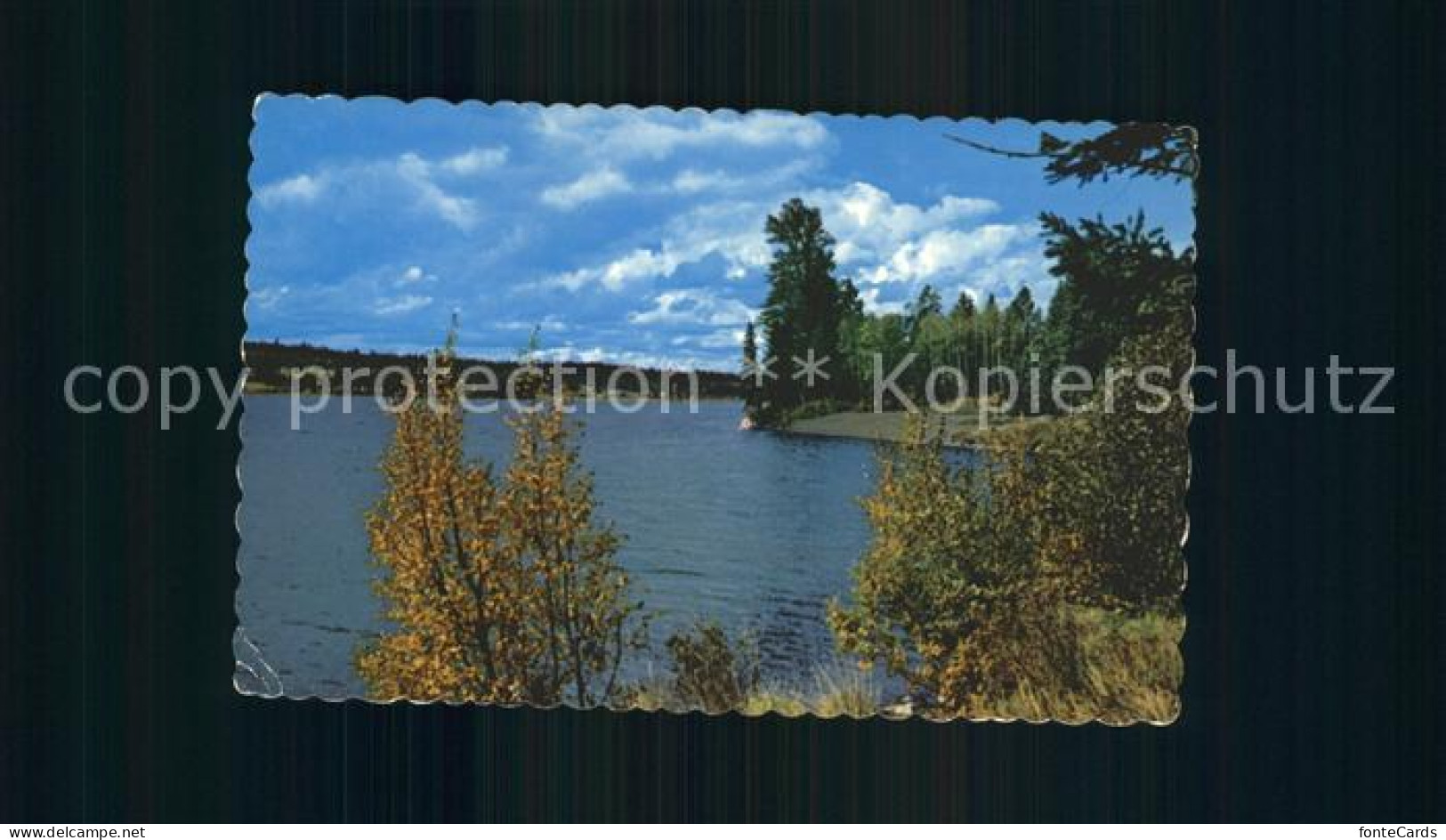 72308845 Williams Lake Lac La Hache Williams Lake - Non Classificati