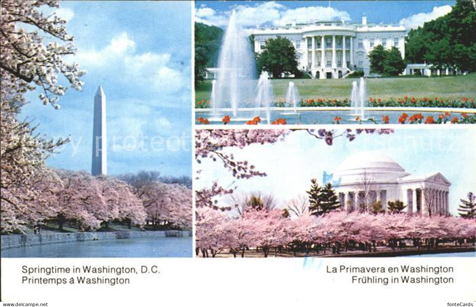 72306987 Washington DC Washington Monument White House   - Washington DC
