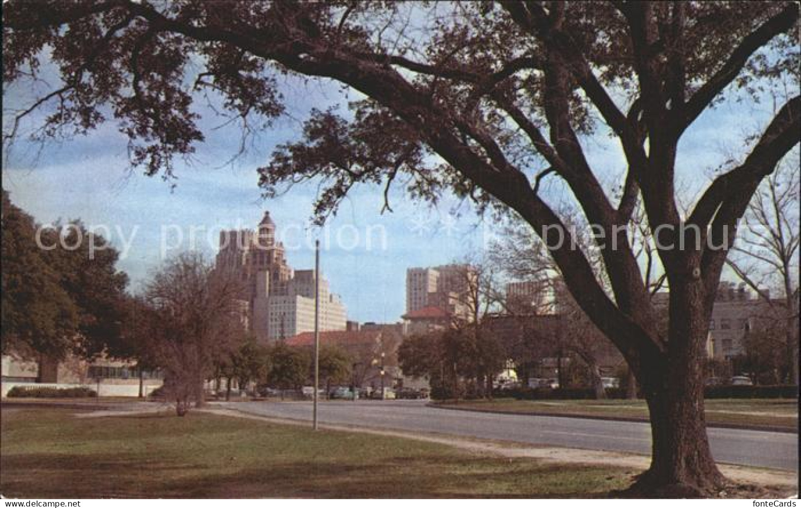 72306904 Houston_Texas Skyline Houston Sam Houston Park  - Sonstige & Ohne Zuordnung