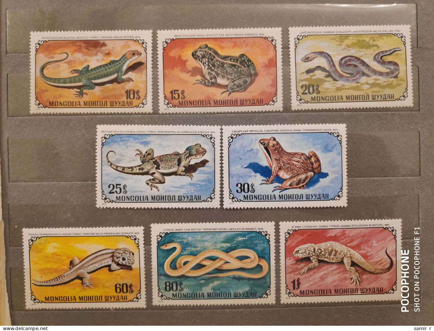 1972	Mongolia	Animals Snakes Frogs (F90) - Mongolië