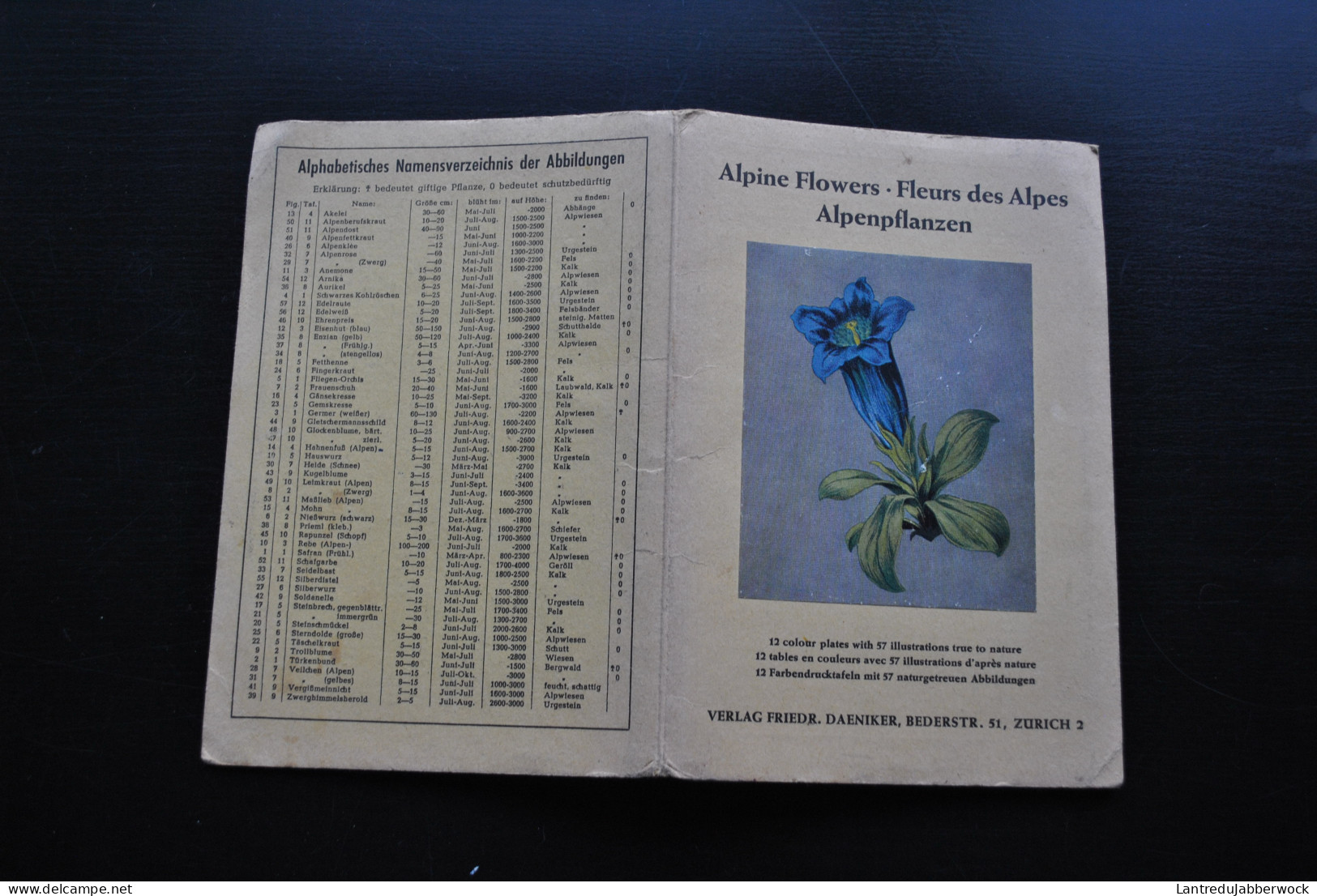 ALPINE FLOWERS FLEURS DES ALPES 12 TABLES EN COULEURS AVEC 57 ILLUSTATIONS D'APRES NATURE VERLAG FRIEDR. DAENIKER ZURICH - 1901-1940