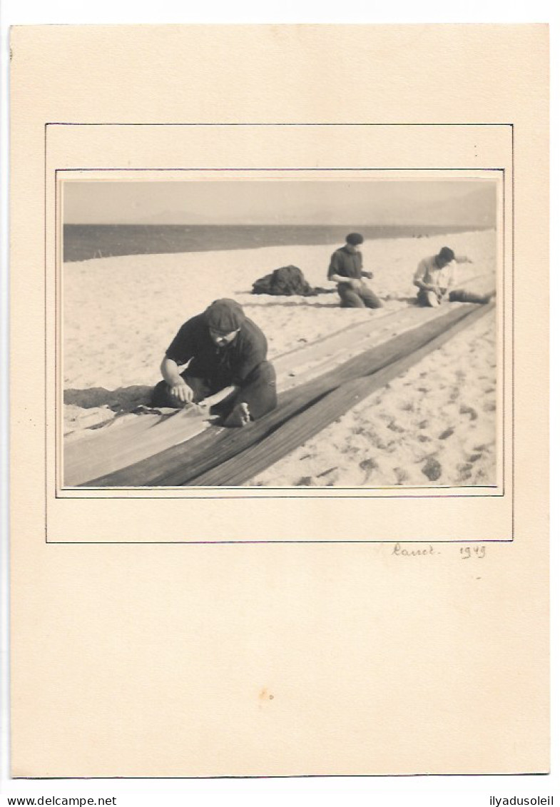 Canet Photo 1949 Colle Sur Carton Format : 14.5 X 10 Pour La Photo Et 17 X 24.5 Cm Pour Le Carton - Canet Plage