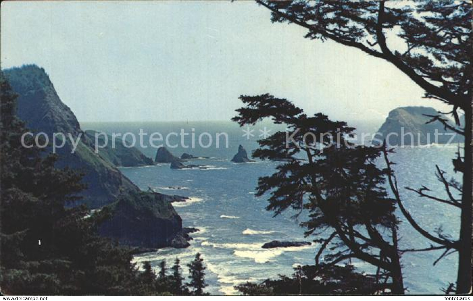 72306148 Oregon_City Coast Near Cape Mears - Andere & Zonder Classificatie