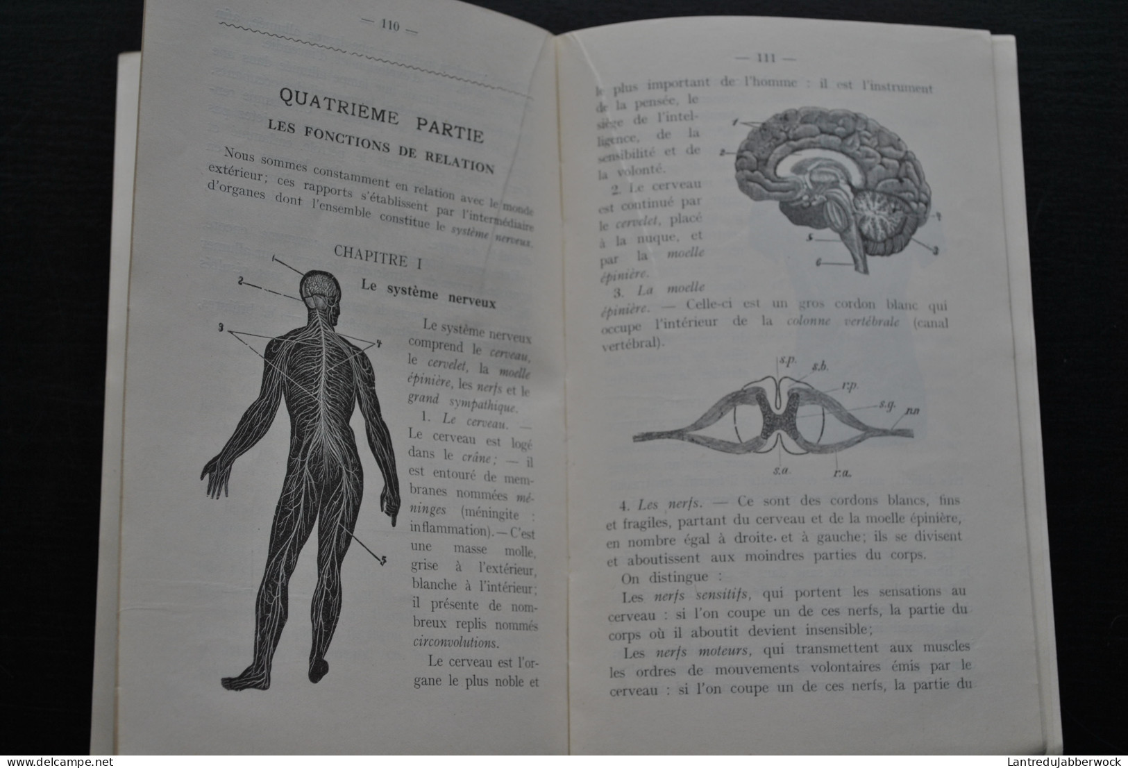 PIRSON Manuel D'hygiène Moderne Basée Sur Des Notions D'anatomie Et De Physiologie à L'usage De L'école Primaire 1936 - 1901-1940