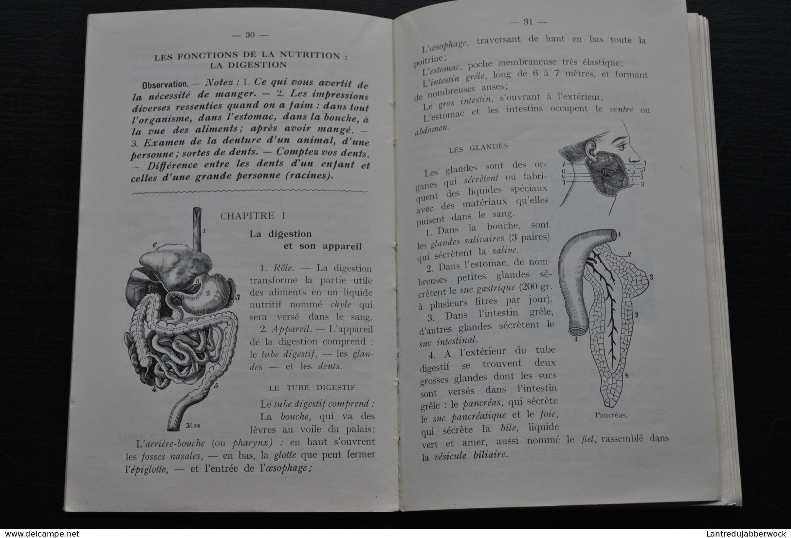 PIRSON Manuel D'hygiène Moderne Basée Sur Des Notions D'anatomie Et De Physiologie à L'usage De L'école Primaire 1936 - 1901-1940