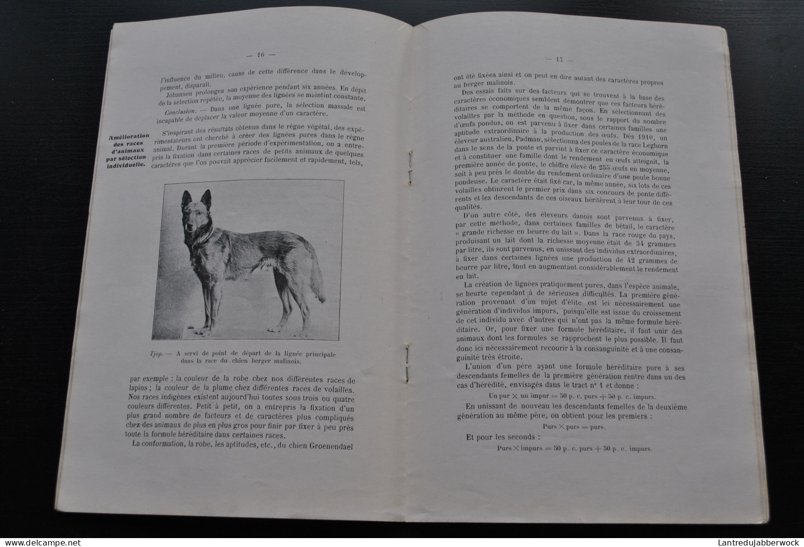 METHODES D'ELEVAGE EMPLOYEES POUR AMELIORER LES RACES D'ANIMAUX DOMESTIQUES MINISTERE DE L'AGRICULTURE 1921 VICTOR FERON - 1901-1940