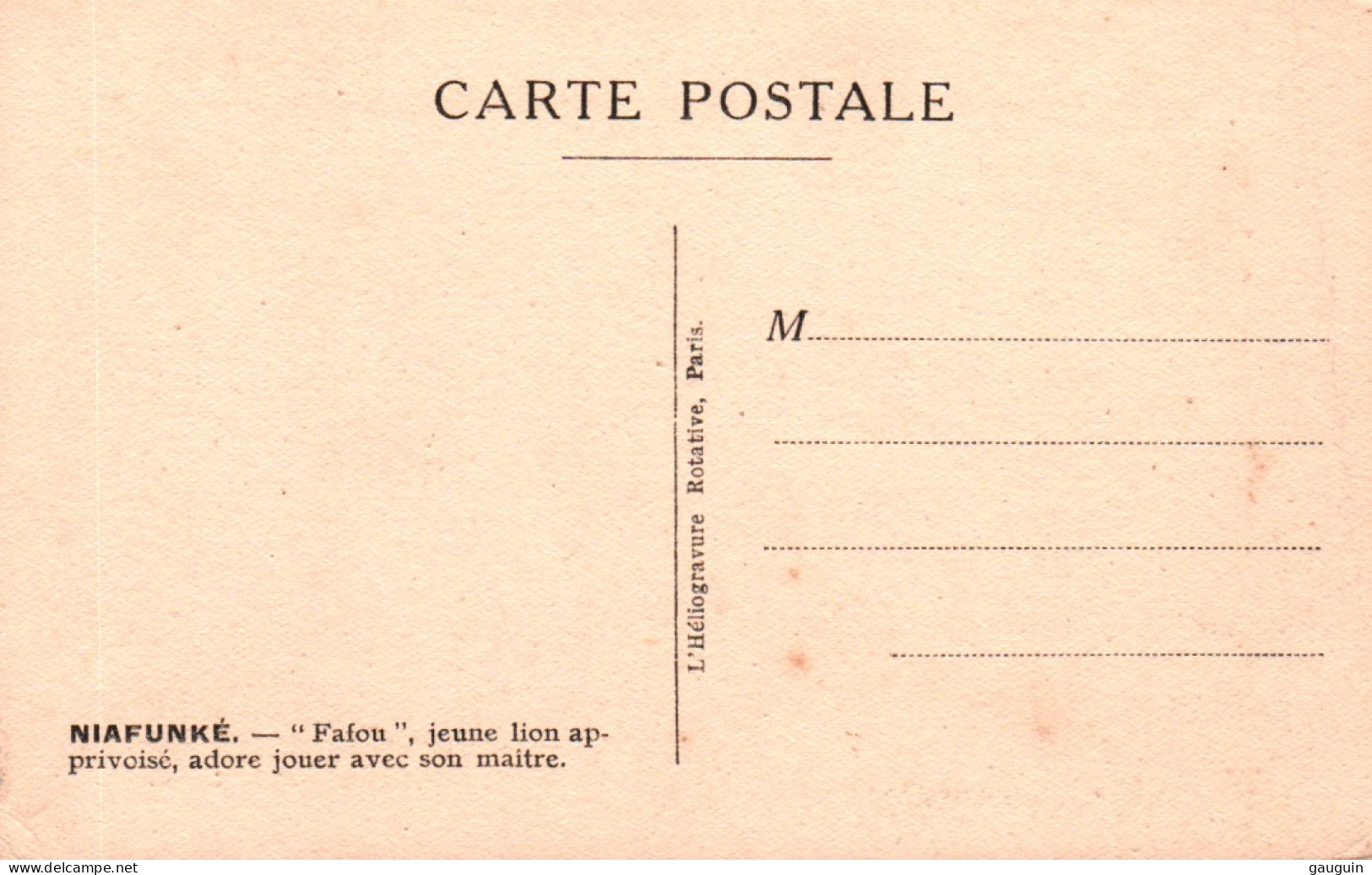 CPA - NIAFUNKÉ - "Fafou" Jeune Lion Apprivoisé Adore Jouer Avec Son Maître - Edition Héliogravure - Mali