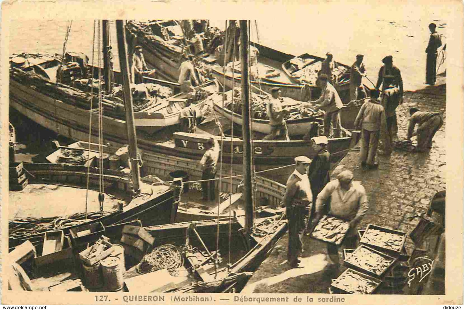 56 - Quiberon - Débarquement De La Sardine - Animée - CPA - Oblitération Ronde De 1933 - Voir Scans Recto-Verso - Quiberon