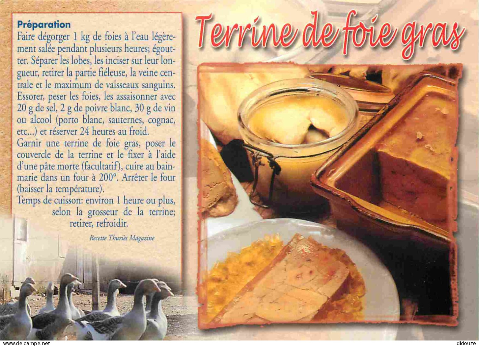 Recettes De Cuisine - Terrine De Foie Gras - Gastronomie - CPM - Voir Scans Recto-Verso - Küchenrezepte