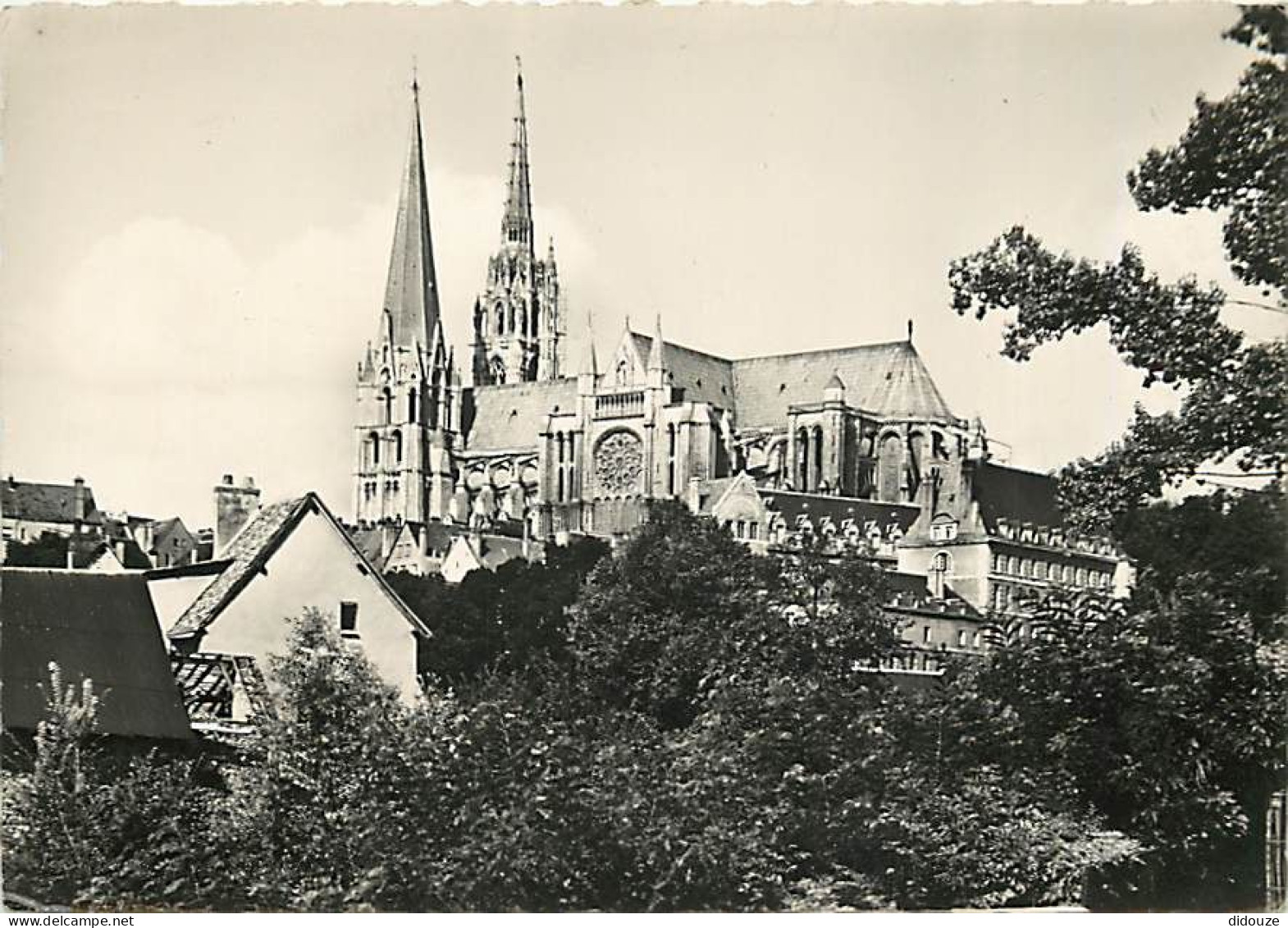 28 - Chartres - La Cathédrale - Carte Dentelée - CPSM Grand Format - Voir Scans Recto-Verso - Chartres