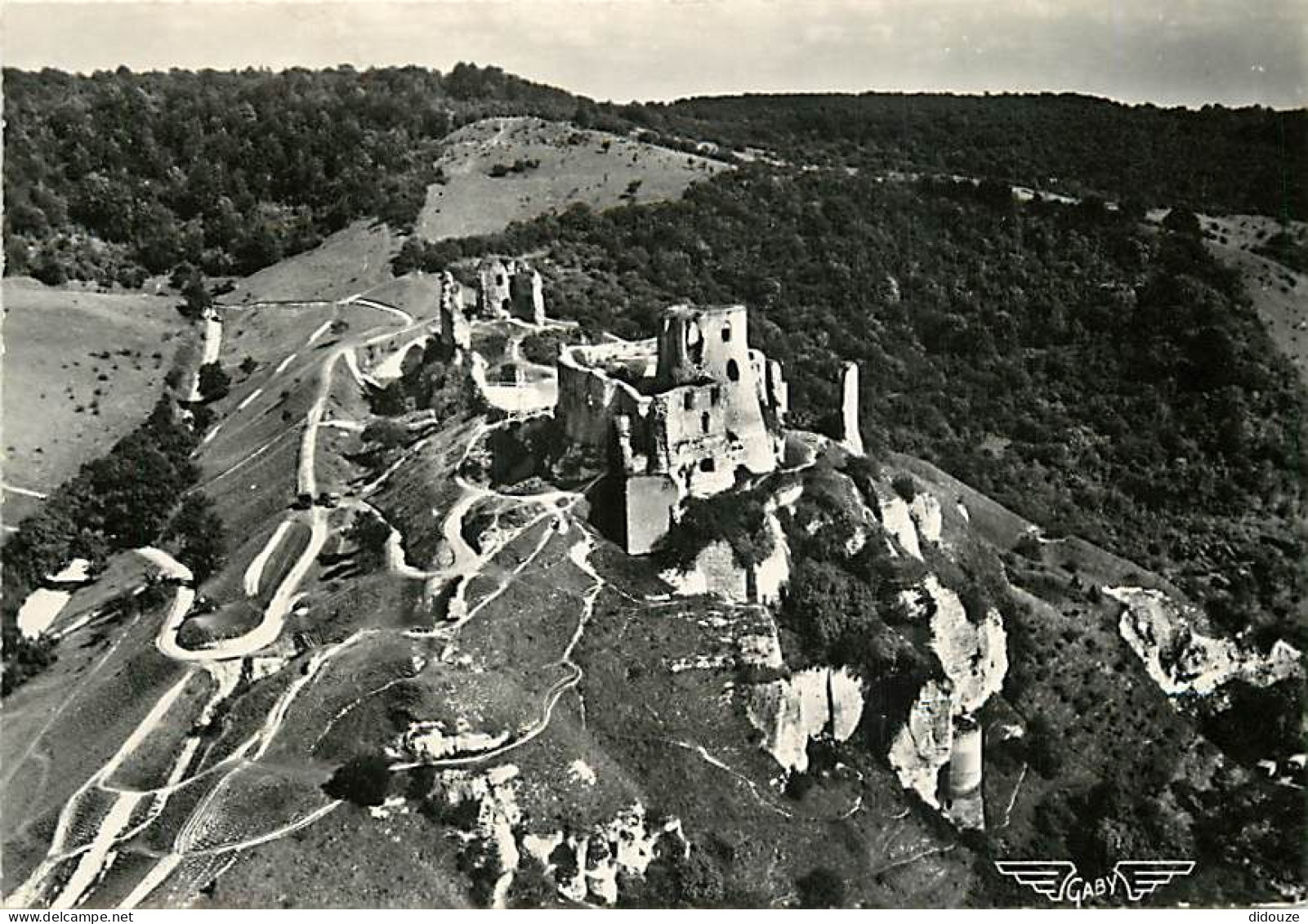 27 - Les Andelys - La France Vue Du Ciel - Le Petit Andely - Le Château Gaillard - Mention Photographie Véritable - Cart - Les Andelys