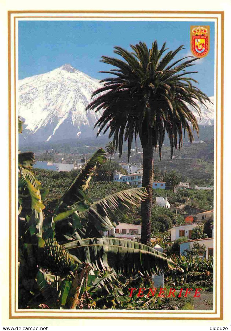 Espagne - Espana - Islas Canarias - Tenerife - Plataneras Y El Teide - Volcan - CPM - Voir Scans Recto-Verso - Tenerife