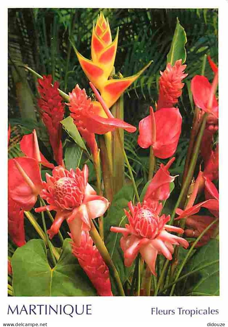 Martinique - Bouquet De Fleurs Tropicales - CPM - Voir Scans Recto-Verso - Autres & Non Classés
