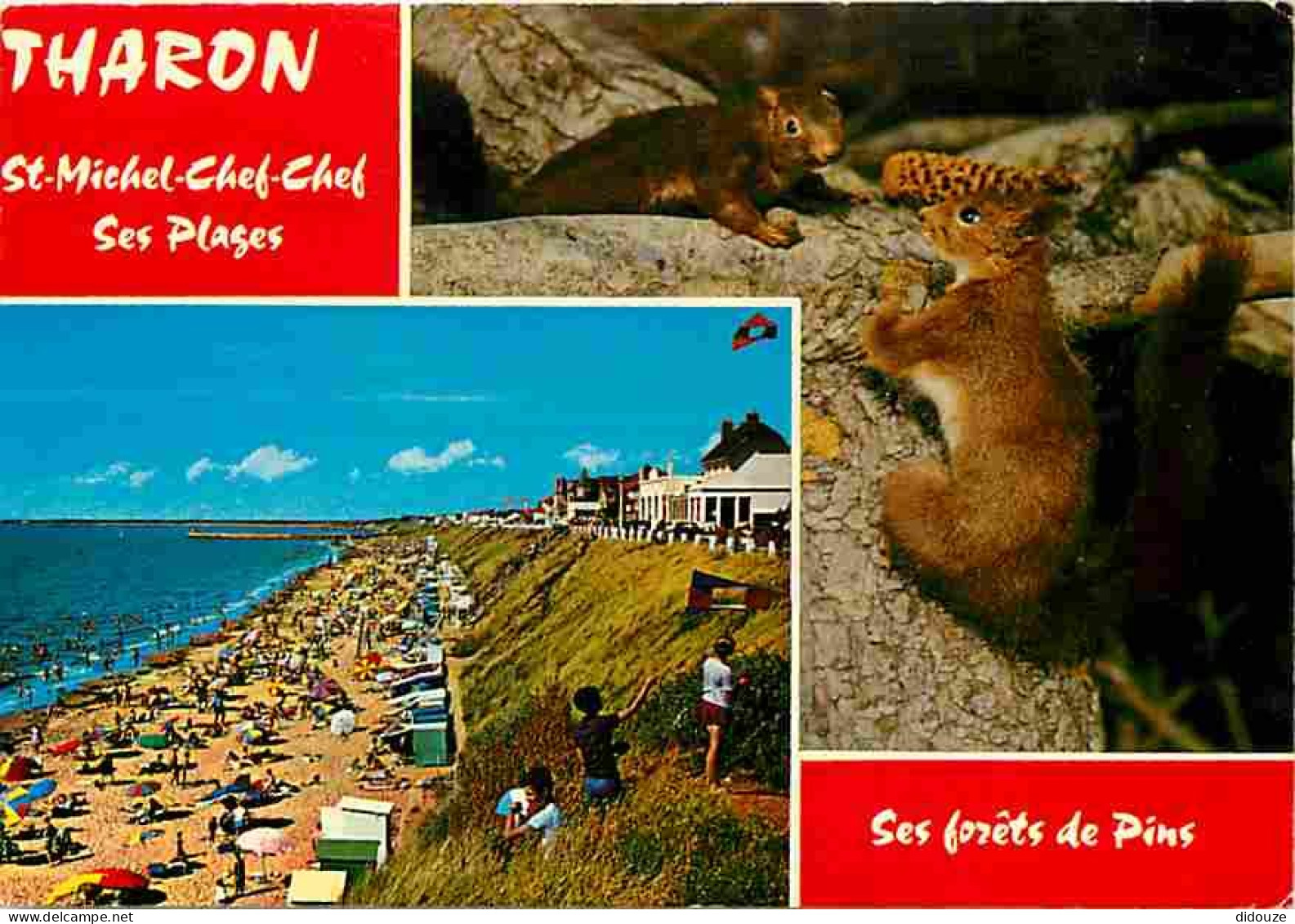 44 - Tharon Plage Saint Michel Chef Chef - Multivues - Plage - Ecureuil - CPM - Voir Scans Recto-Verso - Saint-Michel-Chef-Chef