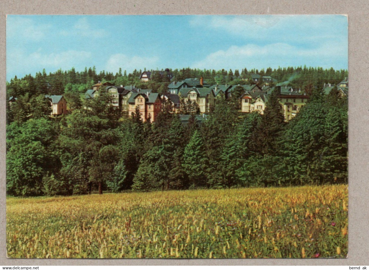 A0438} BRD (DDR-Zeit)  - AK:  Oberhof - Ortsansicht - Oberhof