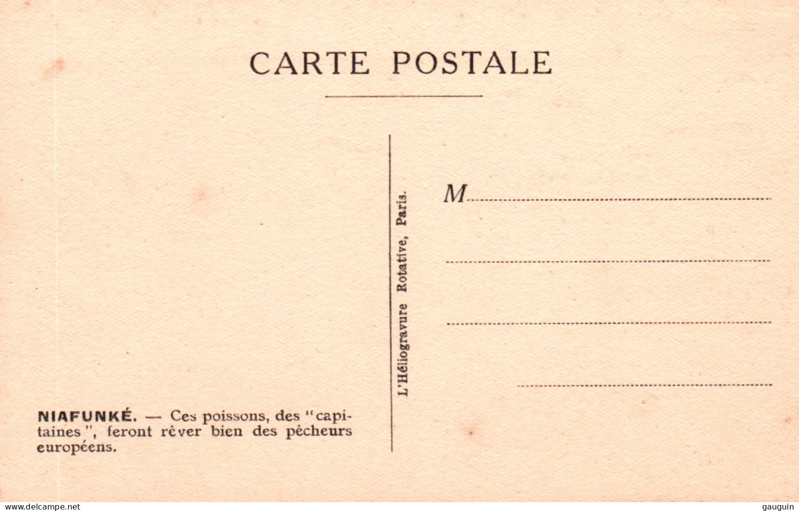 CPA - NIAFUNKÉ - Ces Poissons Des"Capitaines" Feront Rêver Bien Des Pêcheurs Européens - Edition Héliogravure - Malí