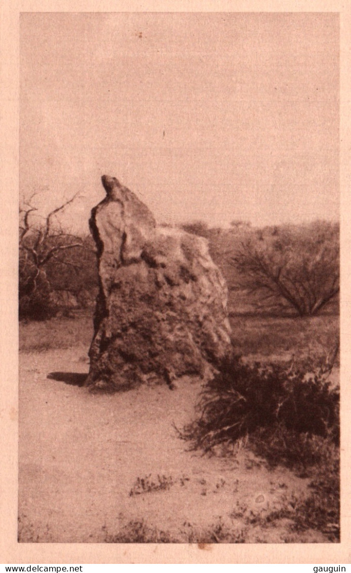 CPA - MENAKA - Une Termitière - Edition Héliogravure - Mali