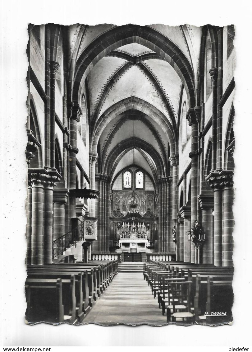 67 - NEUWILLER-les-SAVERNE ( Bas-Rhin ) - Intérieur De L' Eglise Saints-Pierre-et-Paul - Autres & Non Classés