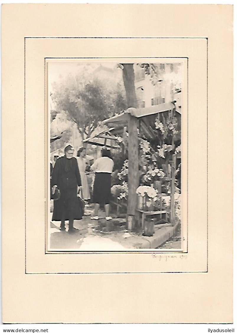 Perpignan  Photo 1949 Colle Sur Carton Format : 14.5 X 10 Pour La Photo Et 17 X 24.5 Cm Pour Le Carton - Perpignan