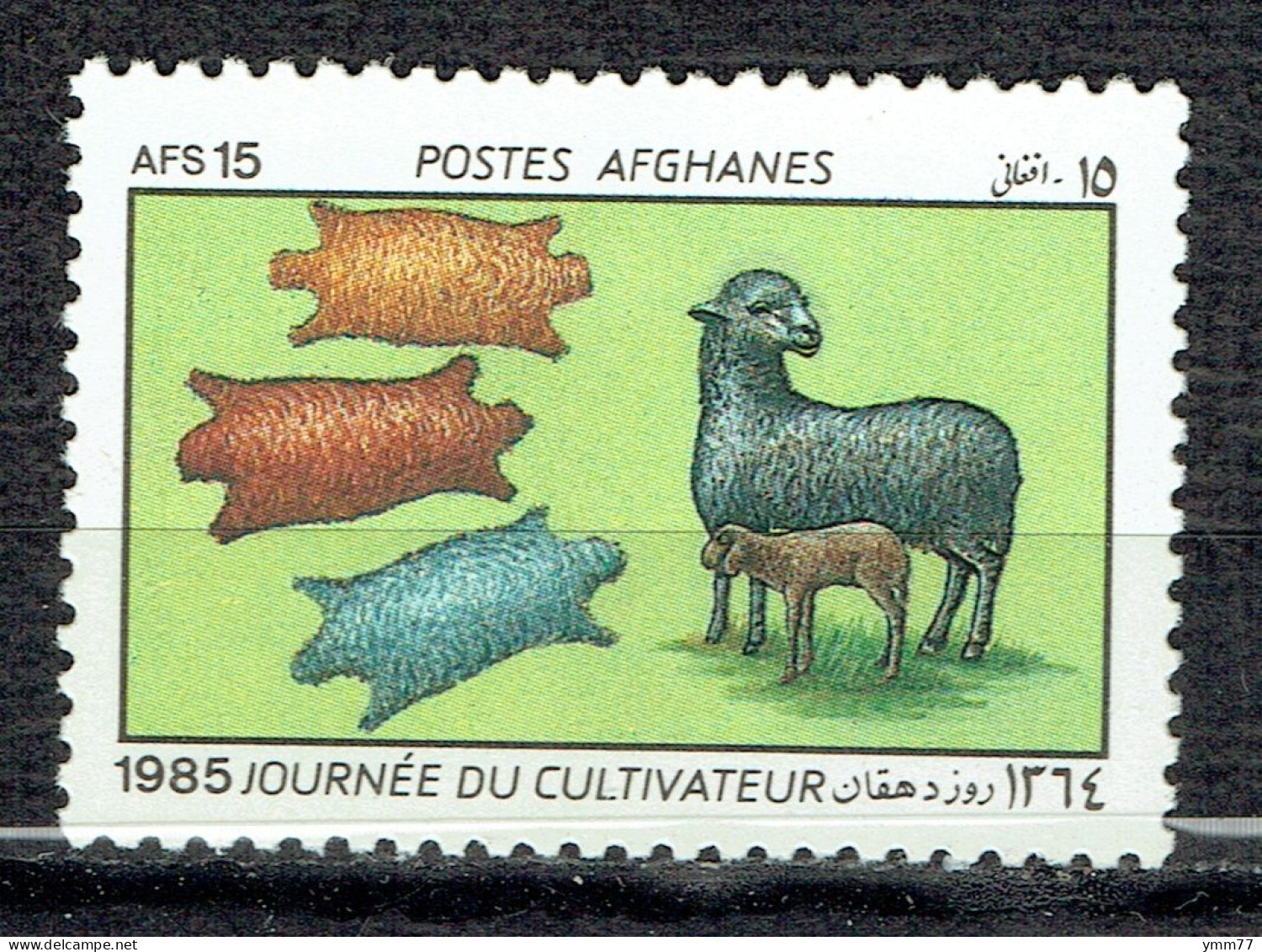 Journée Du Cultivateur : Brebis, Agneau Et Peaux - Afganistán