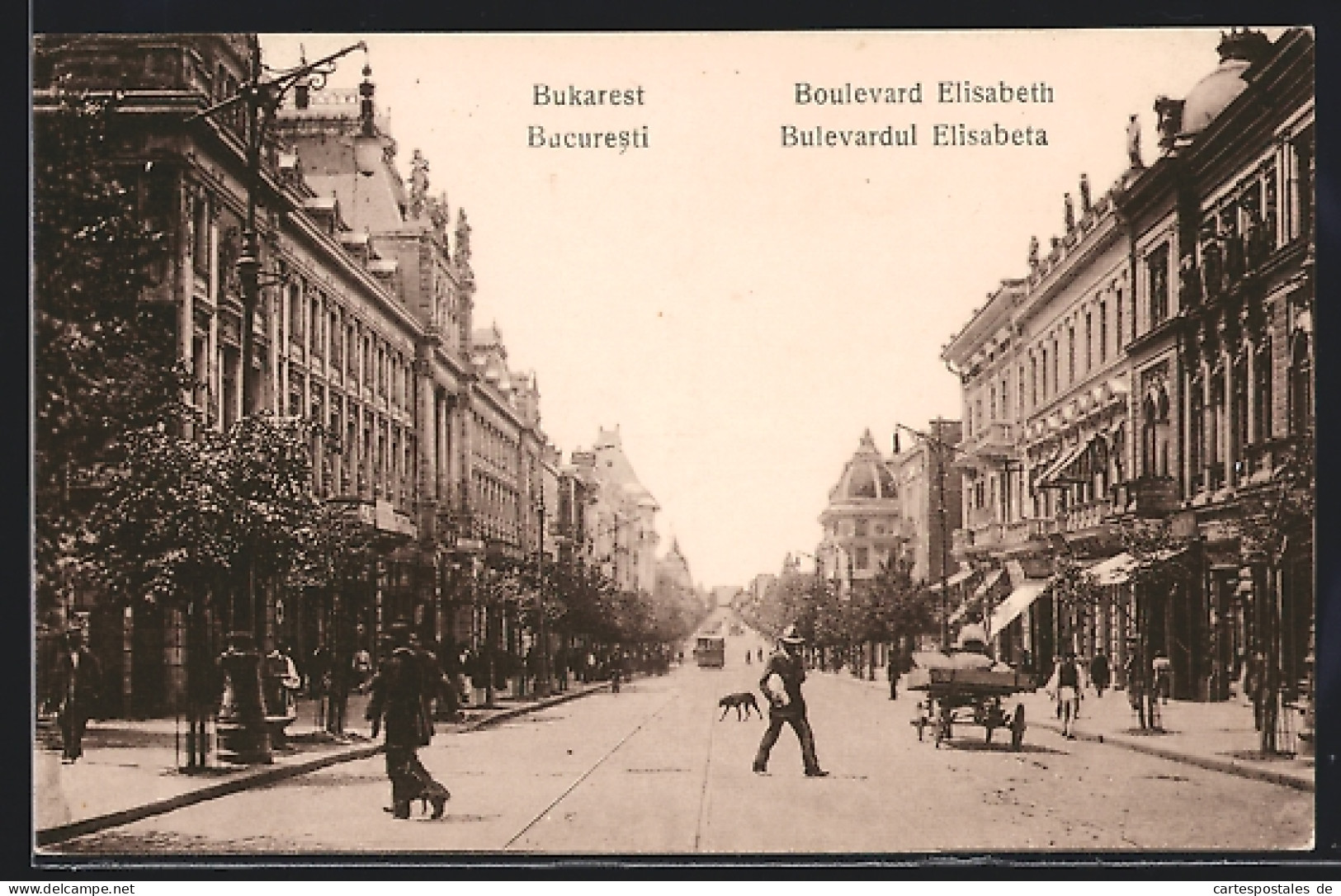 AK Bukarest, Boulevard Elisabeth, Bulevardul Elisabeta  - Rumänien